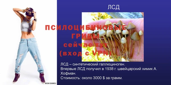 скорость Горняк