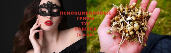 скорость Горняк