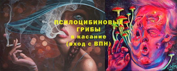 синтетический гашиш Горнозаводск