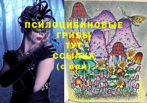 синтетический гашиш Горнозаводск