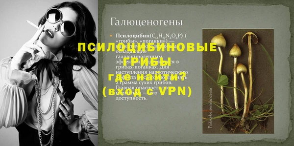 синтетический гашиш Горнозаводск