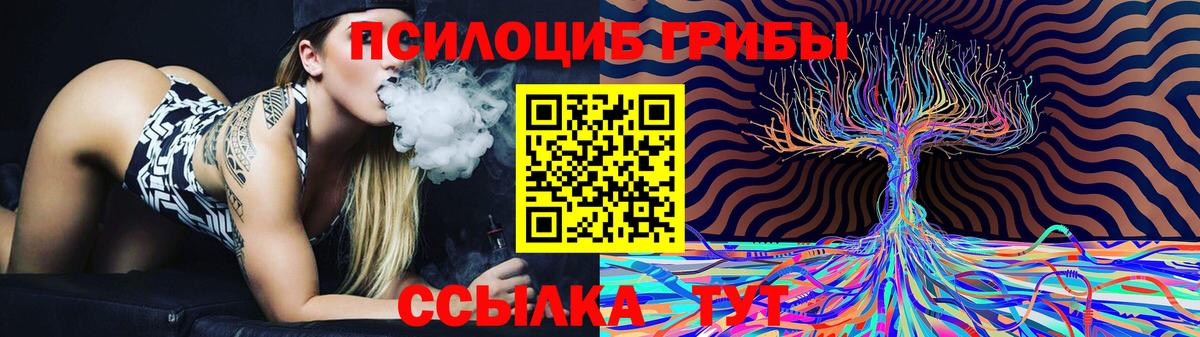 Галлюциногенные грибы Magic Shrooms  Вход с VPN  Железноводск  Галлюциногенные грибы Magic Shrooms 